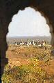 Les chattri (cénotaphes) royaux, vus depuis le temple de Laxminarayana, Orchha